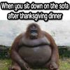 After_Thanksgiving.jpg