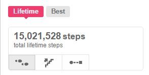 lifetime steps.JPG