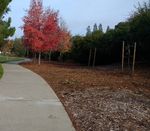 walk125.jpg