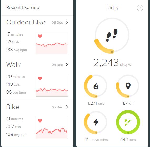 Fitbit track 2024 exercise bike