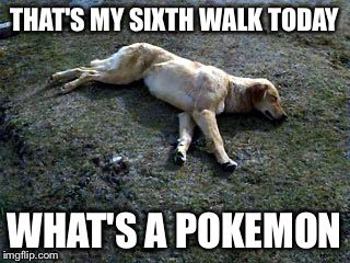 Pokemon_Dog.jpg
