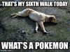 Pokemon_Dog.jpg