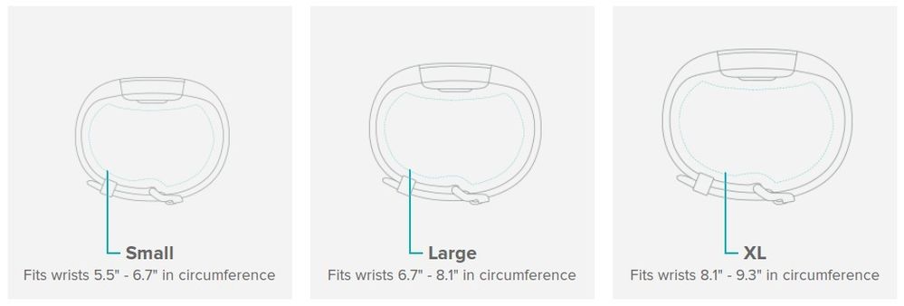 Band-Size.jpg
