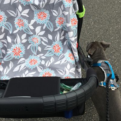 fitbit walking with stroller