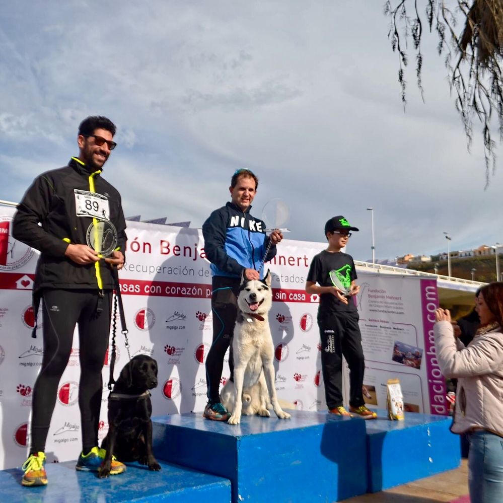 Podium 1^