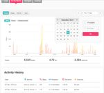 2016-11-17 record.jpg