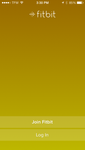 fitbit1.PNG