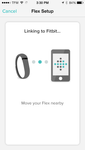 fitbit4.PNG