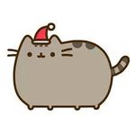 pusheen the cat.jpg