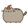 pusheen the cat.jpg