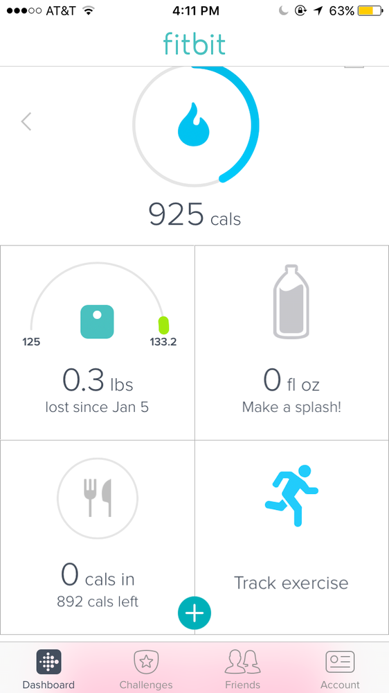 Fitbit 2025 step counter