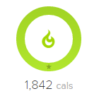 calories burned icon.png