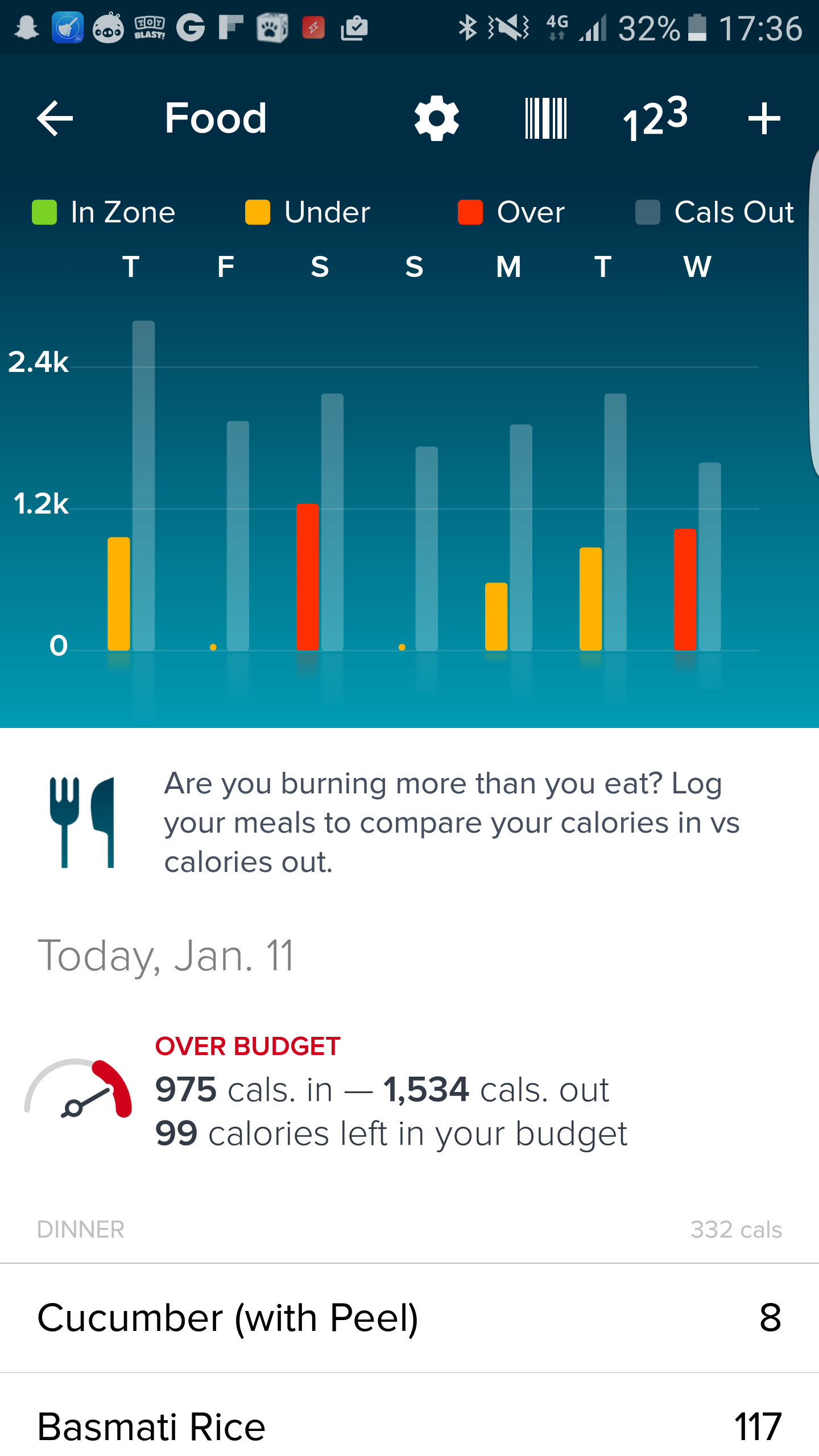 calories in vs calories out fitbit