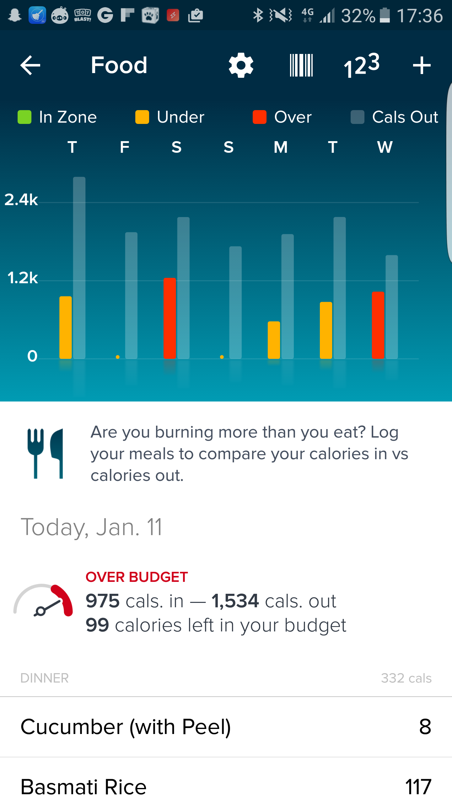 does fitbit calorie counter work