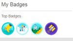 badges.jpg