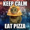 Pizza_Cat.jpg
