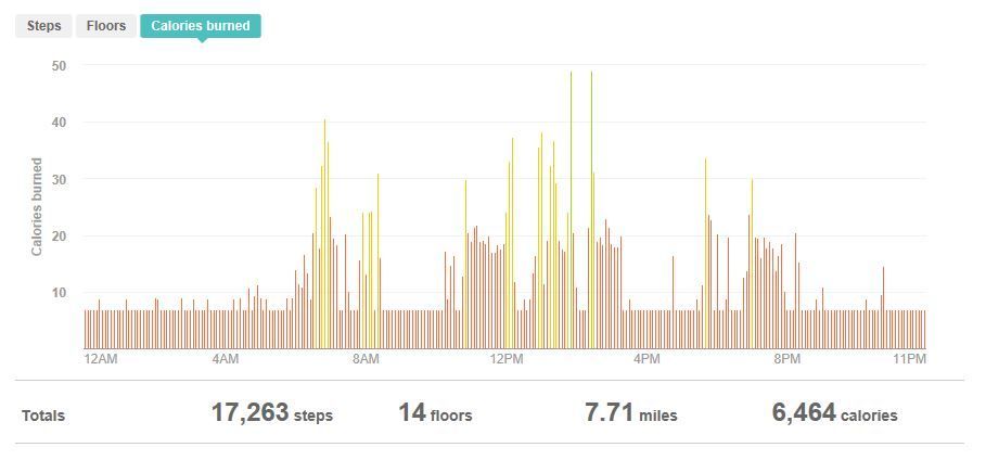 fitbit-strange-calorie-burn.JPG