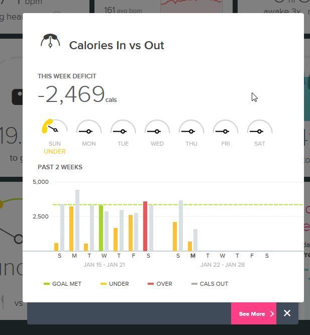 fitbit calories in vs calories out