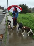 Megan walk 1.jpg