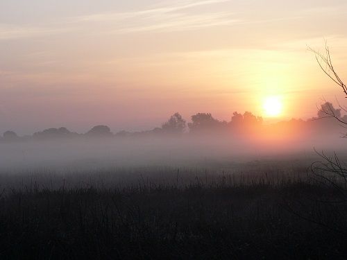sunrise1.jpg