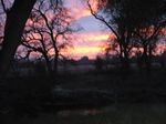 sunrise.jpg