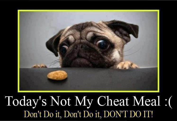 Not_My_Cheat_Day.jpg