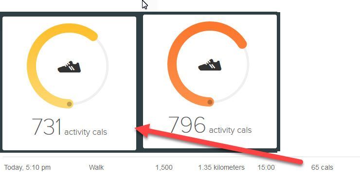 activity cals feb 2.jpg