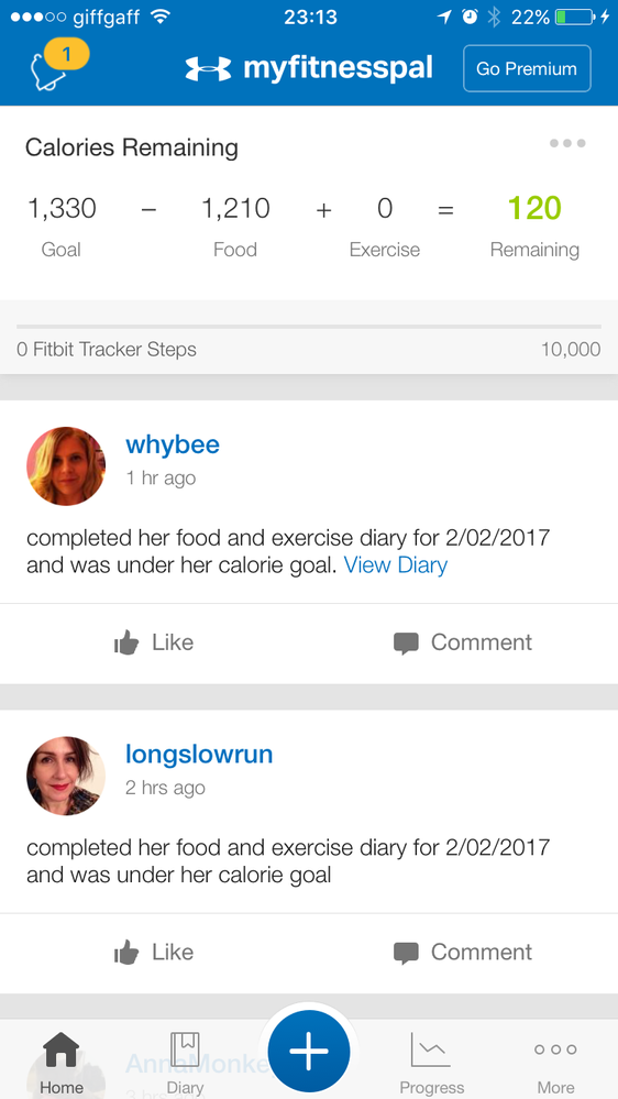 Screenshot of the MyFitnessPal (MFP) application, along with an