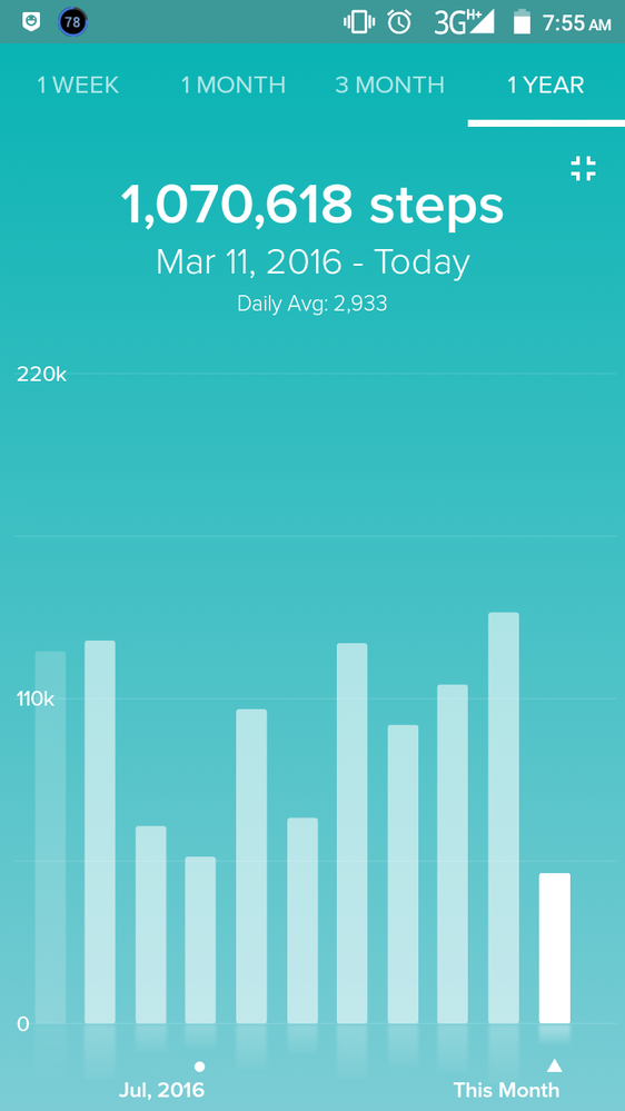 Steps display for a year.png