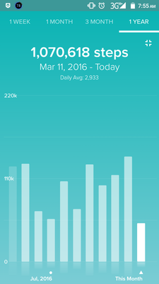 Steps display for a year.png