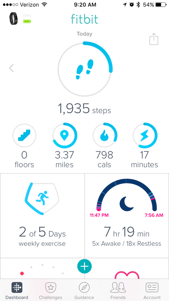 fitbit walk tracker