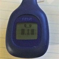 Fitbit ZIp display - blocks for digits