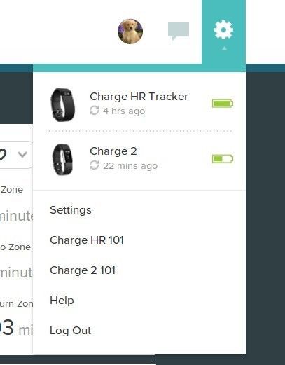 Log out of Fitbit.com dash board 