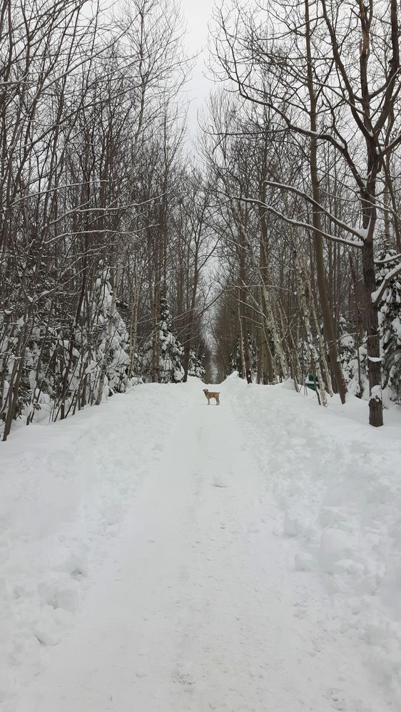 Shubie Park, Nova Scotia Canada