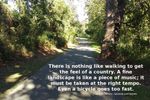 A Fine walk.jpg