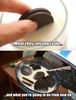 Oreo-meme.jpg