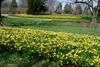 DSC_0060.jpg