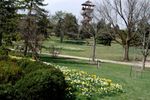 DSC_0073.jpg
