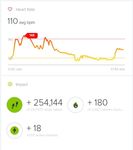 A short walk of many steps