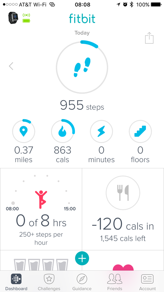 fitbit calories in and out