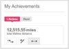 fitbit-lifetime-profile.JPG