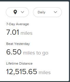 fitbit-dashboard-lifetime.JPG