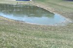 Duck_Pond_1.jpg