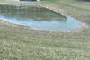 Duck_Pond_1.jpg