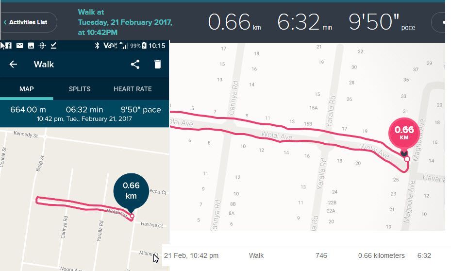 walk 21feb.jpg