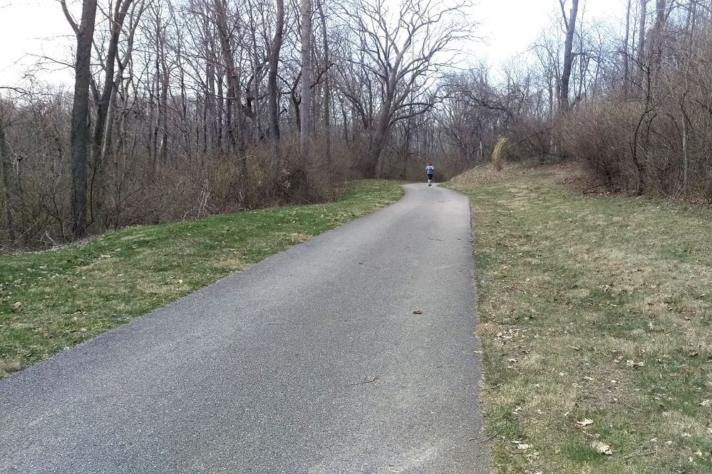 Runner.jpg