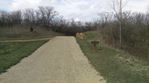 Trail Hill.jpg