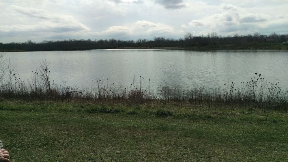 Lake View 1.jpg
