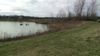 Lake View 2.jpg