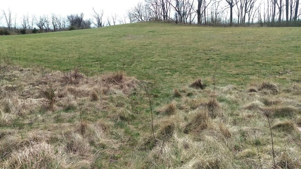Adena Indian Mound.jpg